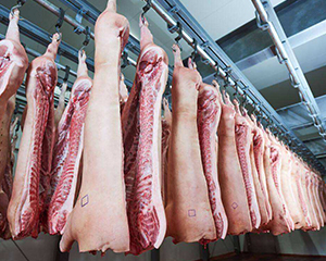 后期猪肉市场仍将延续震荡态势