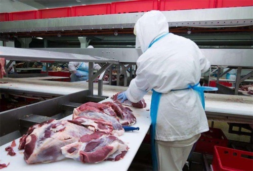 猪肉价格探底回升势头明显
