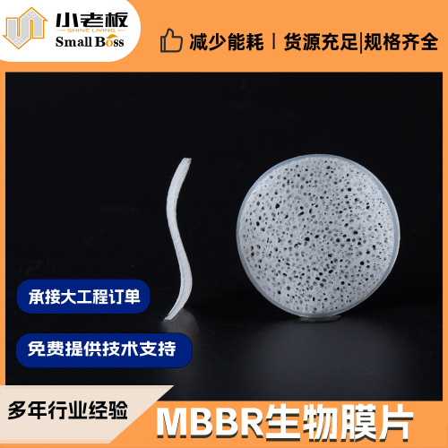MBBR生物膜片