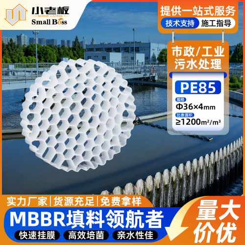MBBR填料 PE85