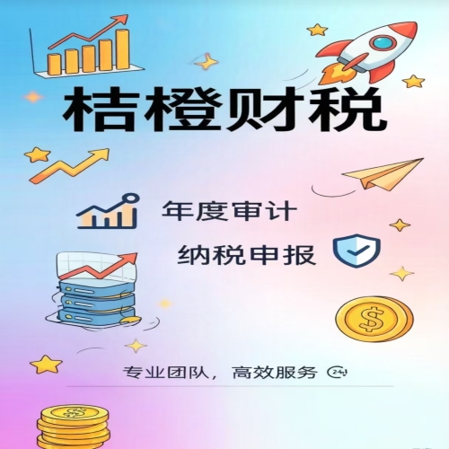 年度审计