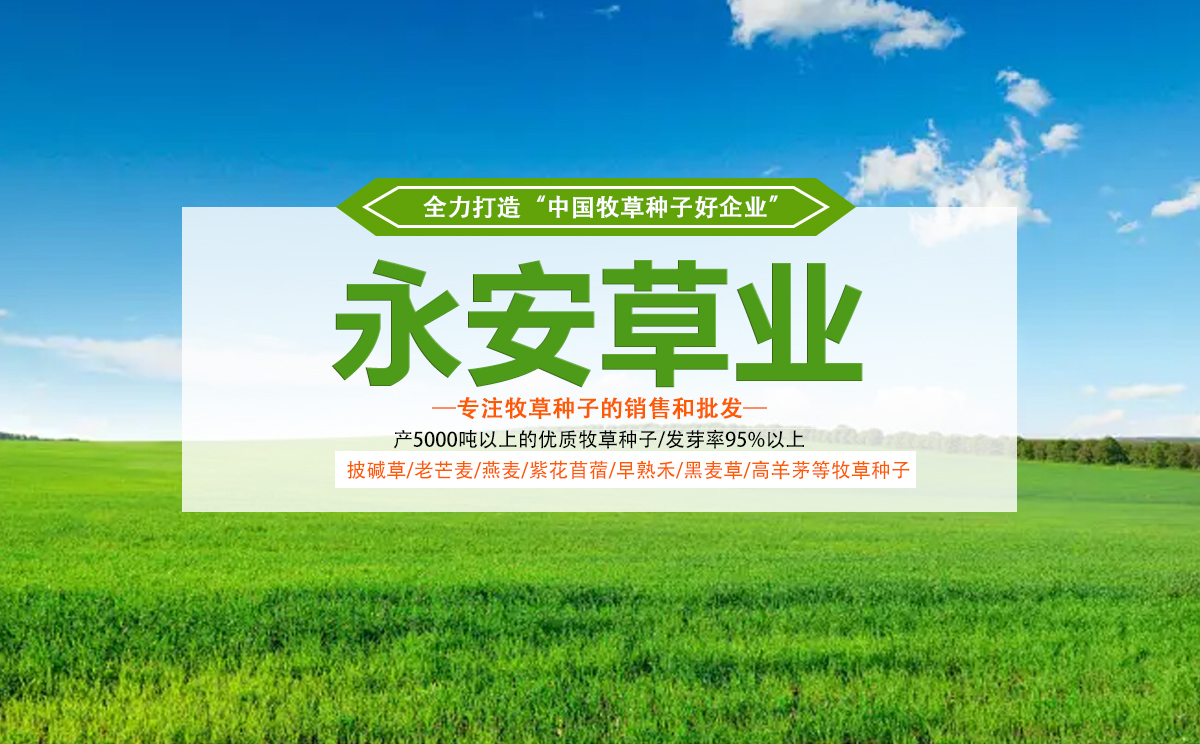 甘肃永安草业有限公司