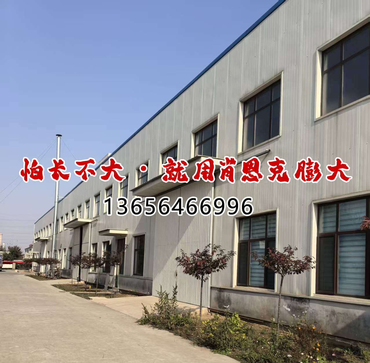 怕长不大就用肖恩克膨大宣传图