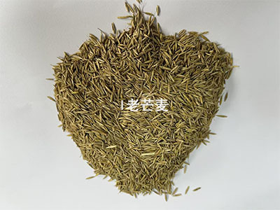 老芒麦