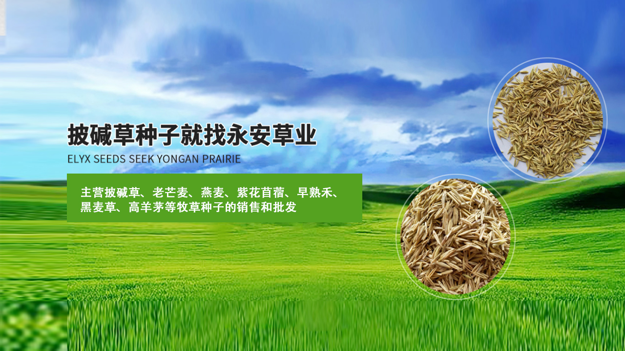 甘肃永安草业有限公司