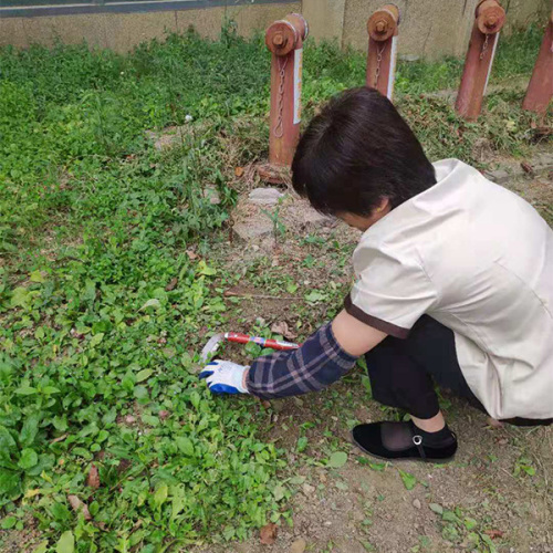 保洁服务