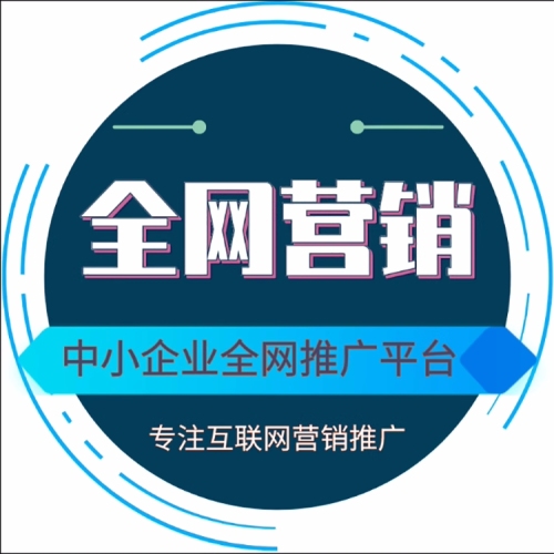 全网营销运营