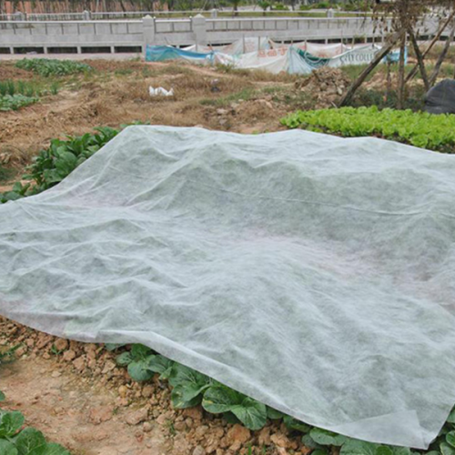 柑橘防寒无纺布