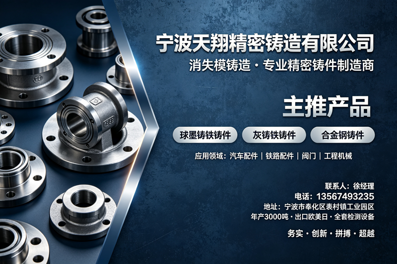 天翔精密铸造宣传图